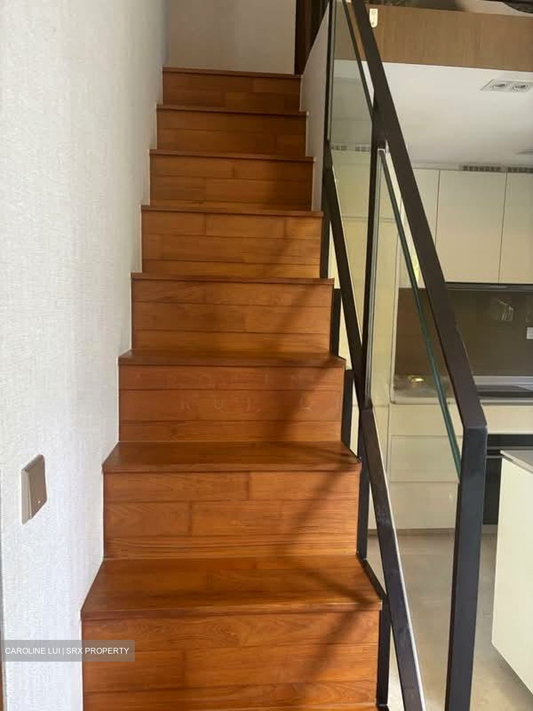 Mon Jervois (D10), Condominium #551131471